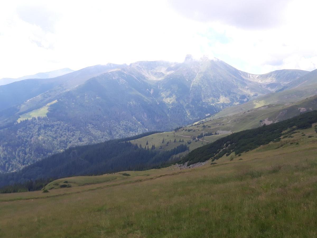 Отель Piatra Rancii Рынка Экстерьер фото