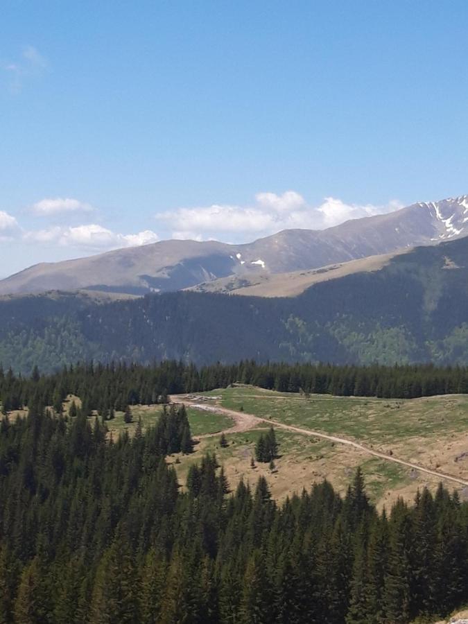 Отель Piatra Rancii Рынка Экстерьер фото