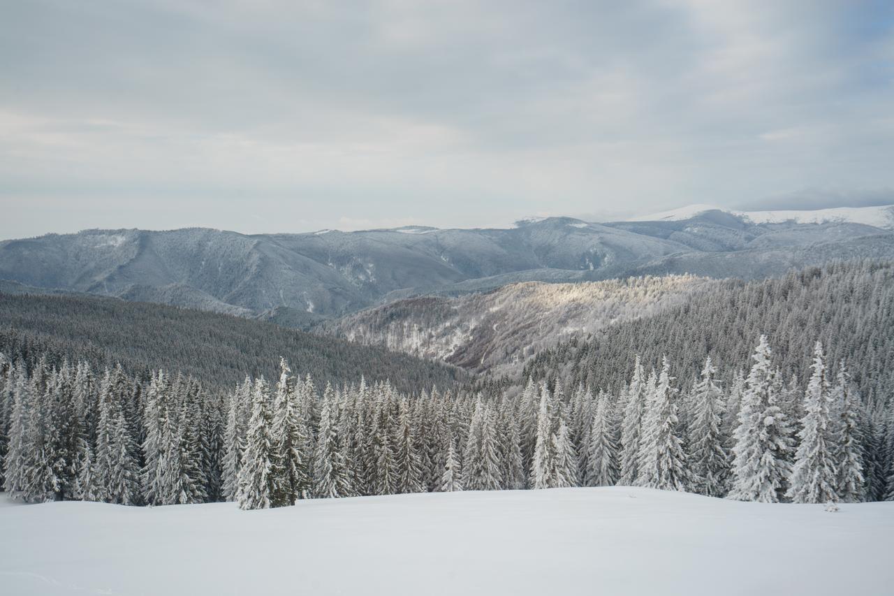 Отель Piatra Rancii Рынка Экстерьер фото